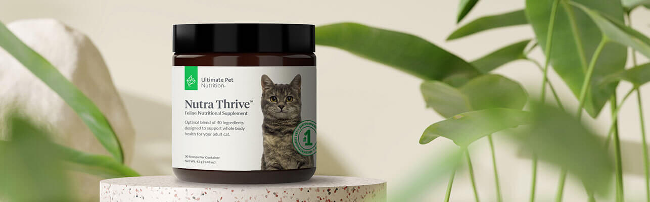 nutra thrive cat