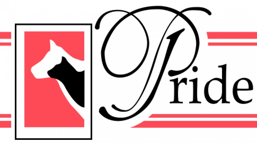 Pride Pet Doors Online At Pet Mountain